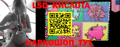 PSILOCYBIN Моздок